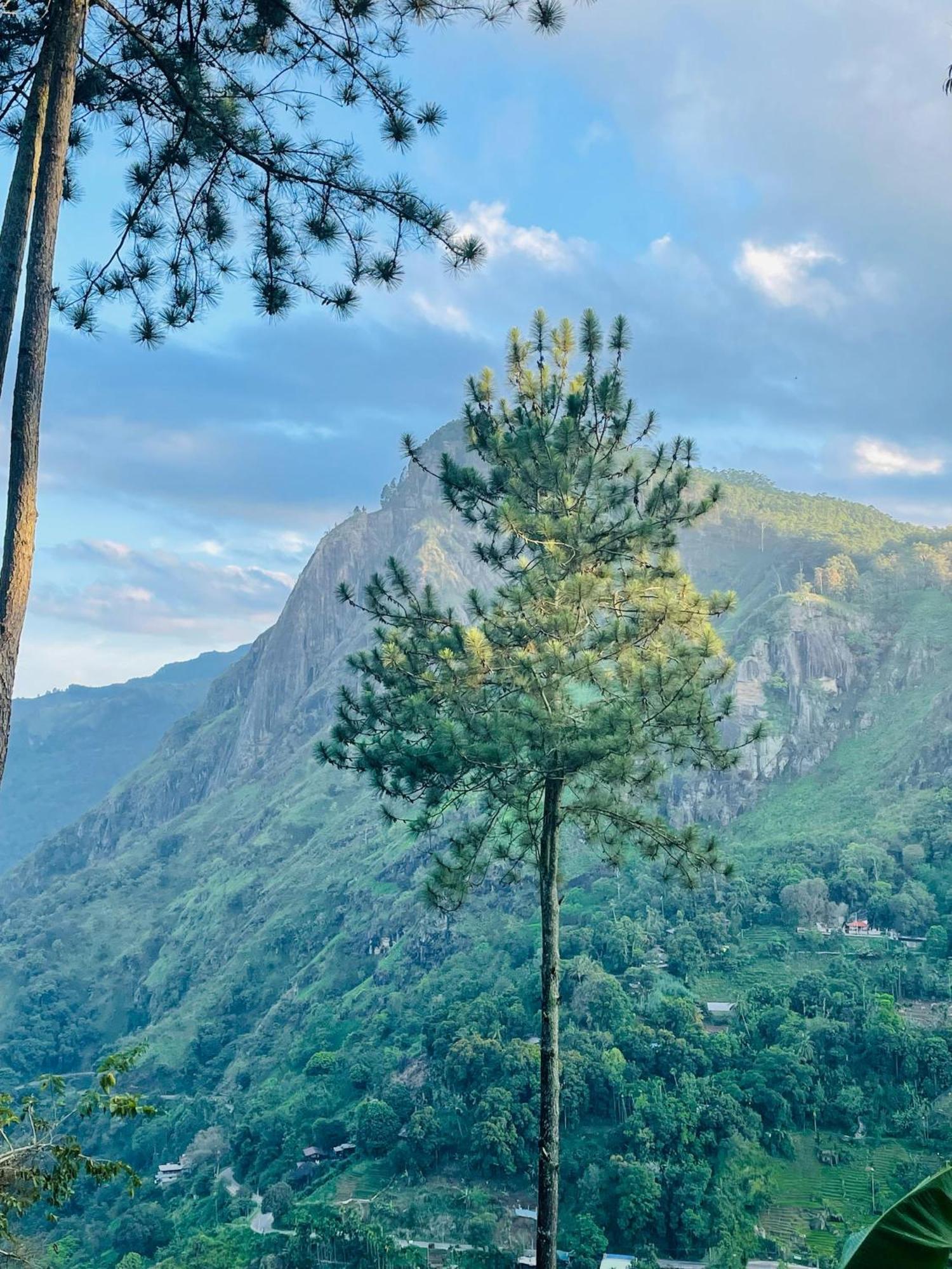 Hidden Gem Inn Ella Zewnętrze zdjęcie