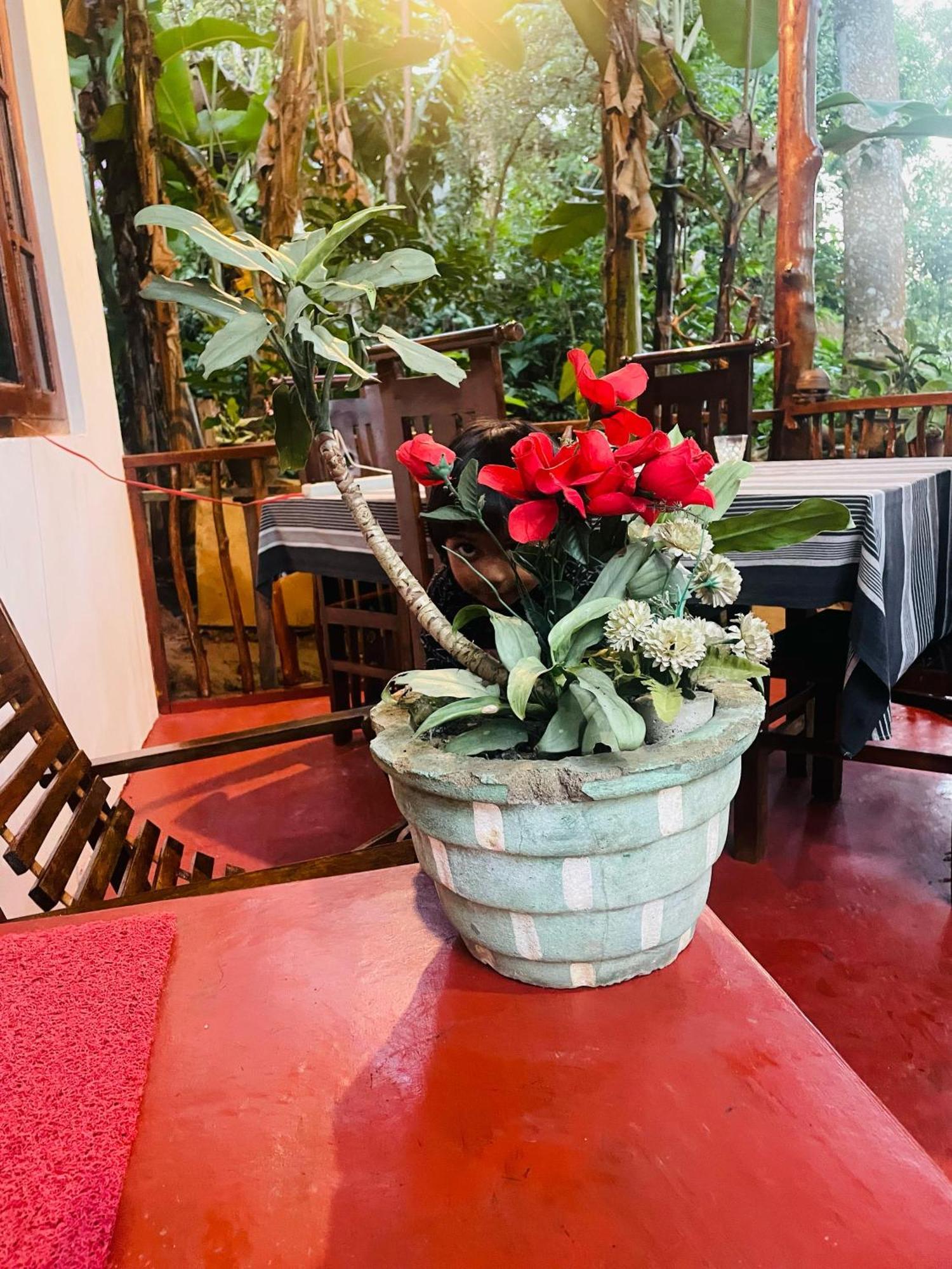 Hidden Gem Inn Ella Zewnętrze zdjęcie