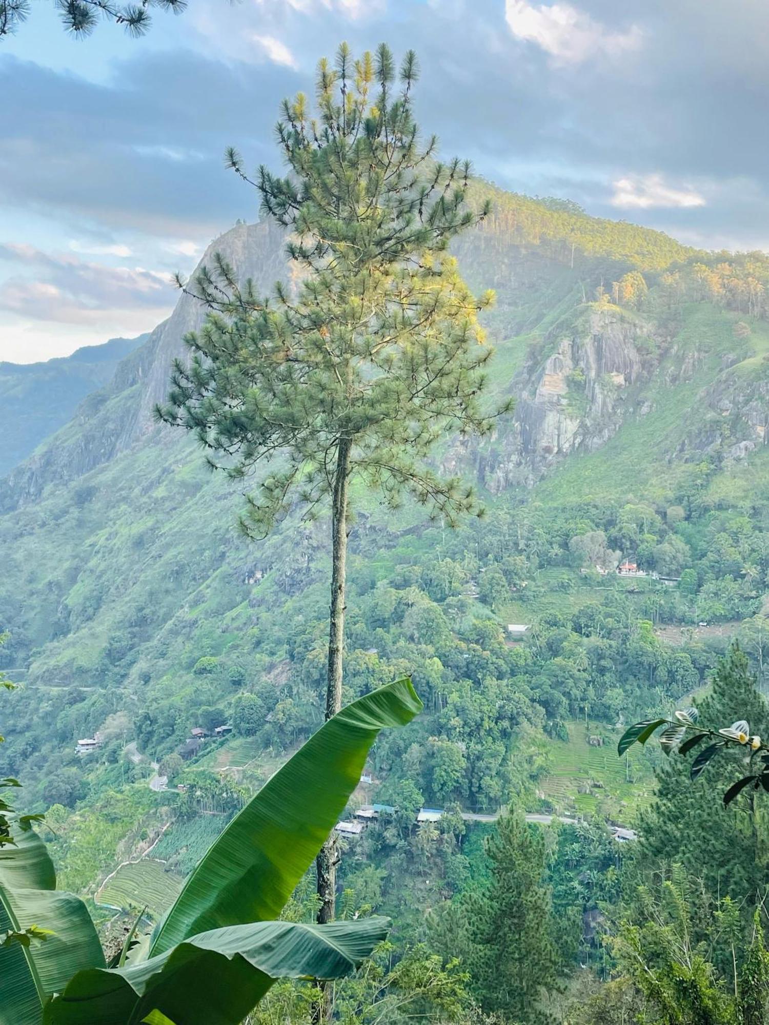 Hidden Gem Inn Ella Zewnętrze zdjęcie