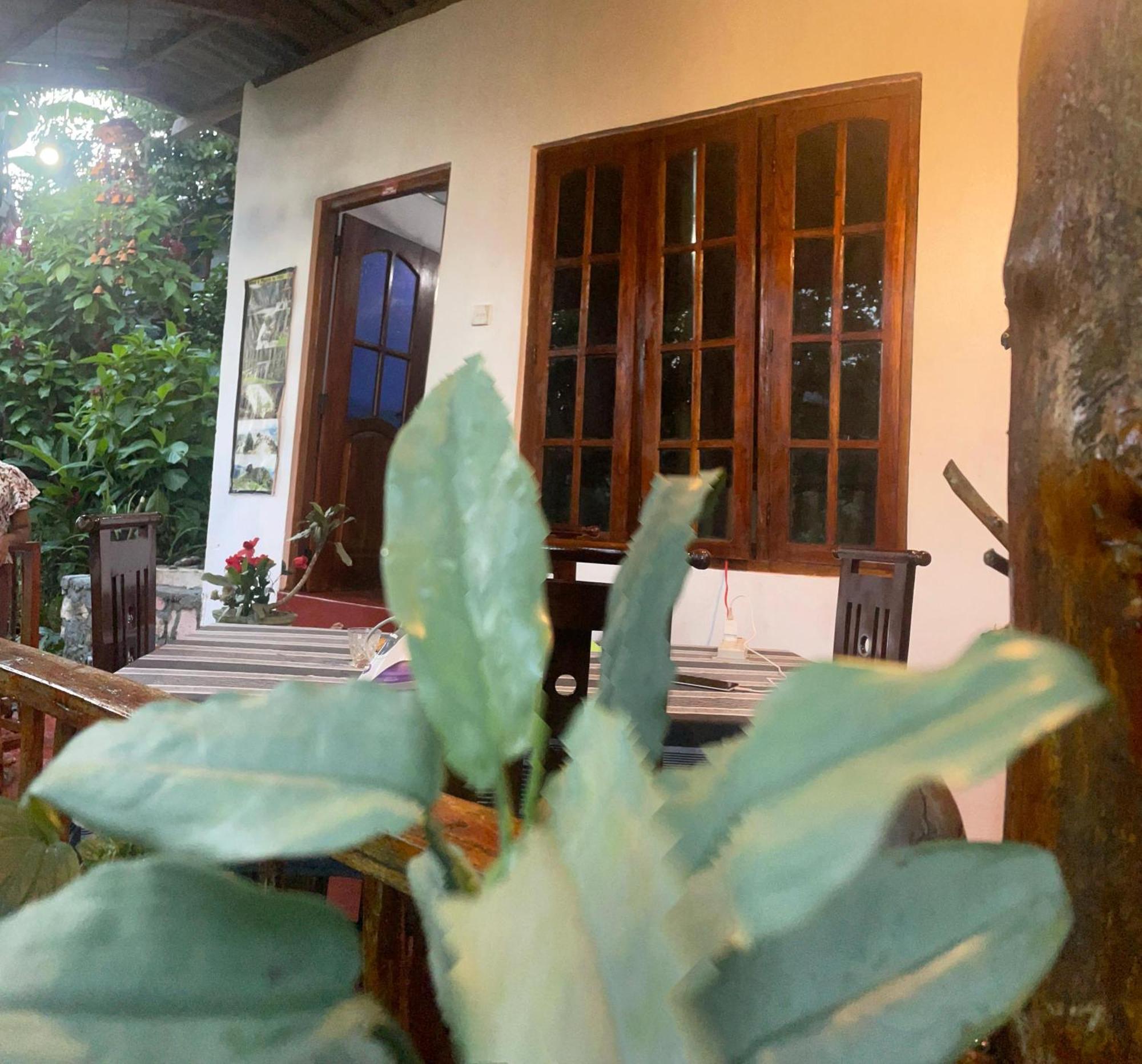 Hidden Gem Inn Ella Zewnętrze zdjęcie