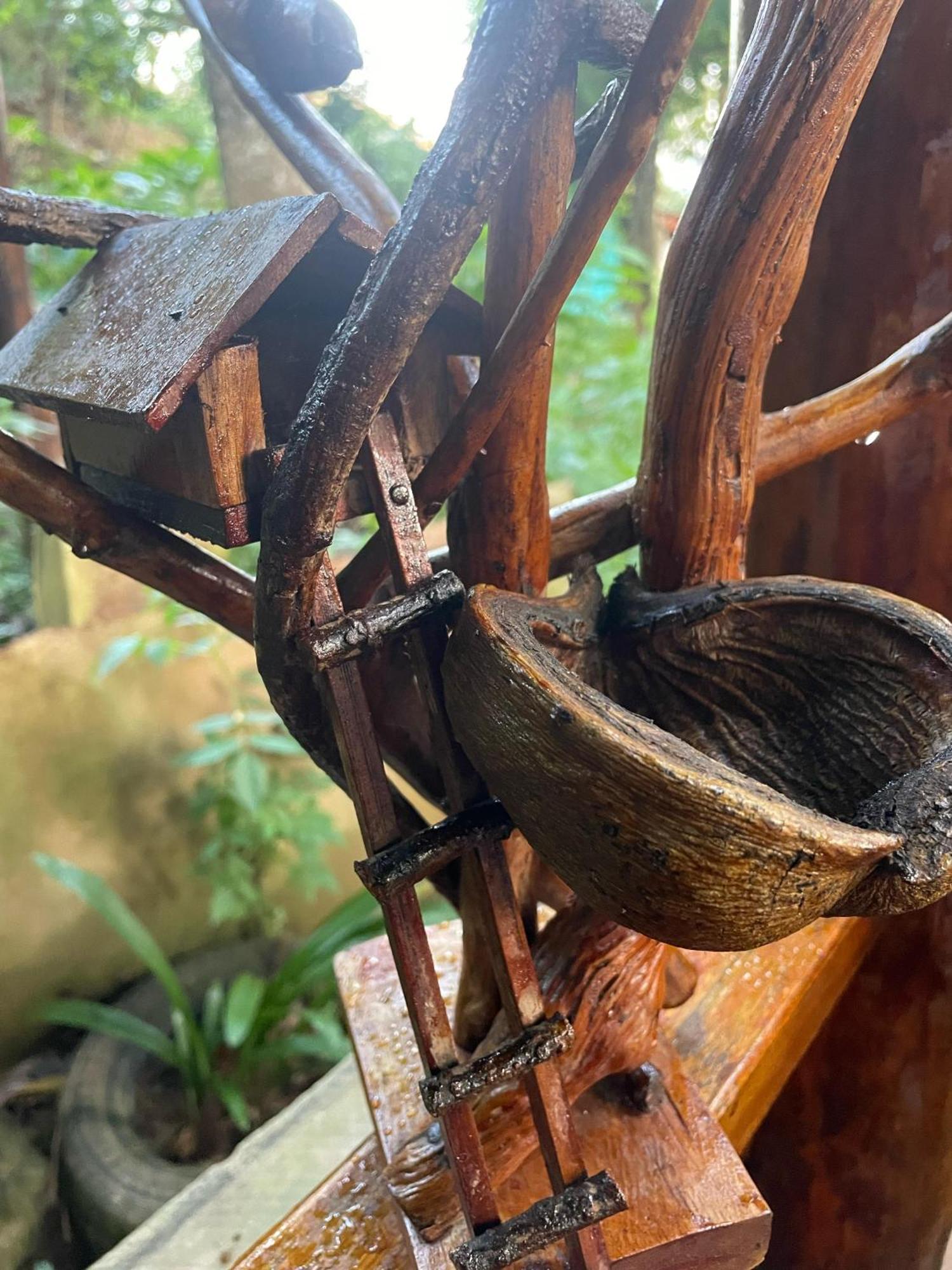Hidden Gem Inn Ella Zewnętrze zdjęcie