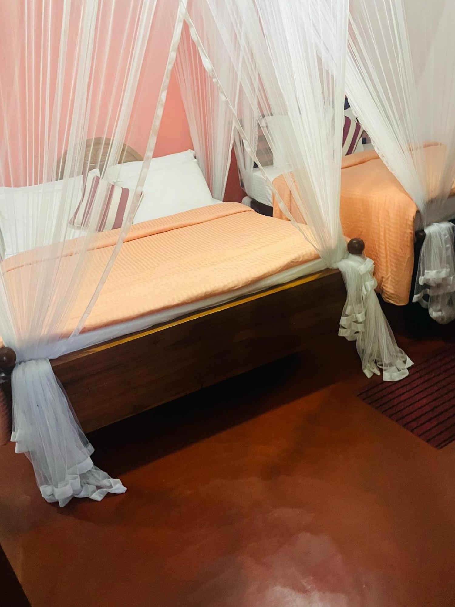 Hidden Gem Inn Ella Zewnętrze zdjęcie